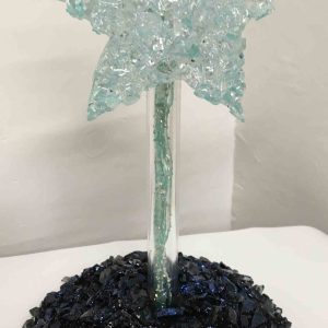 Resined Star on a Black Base