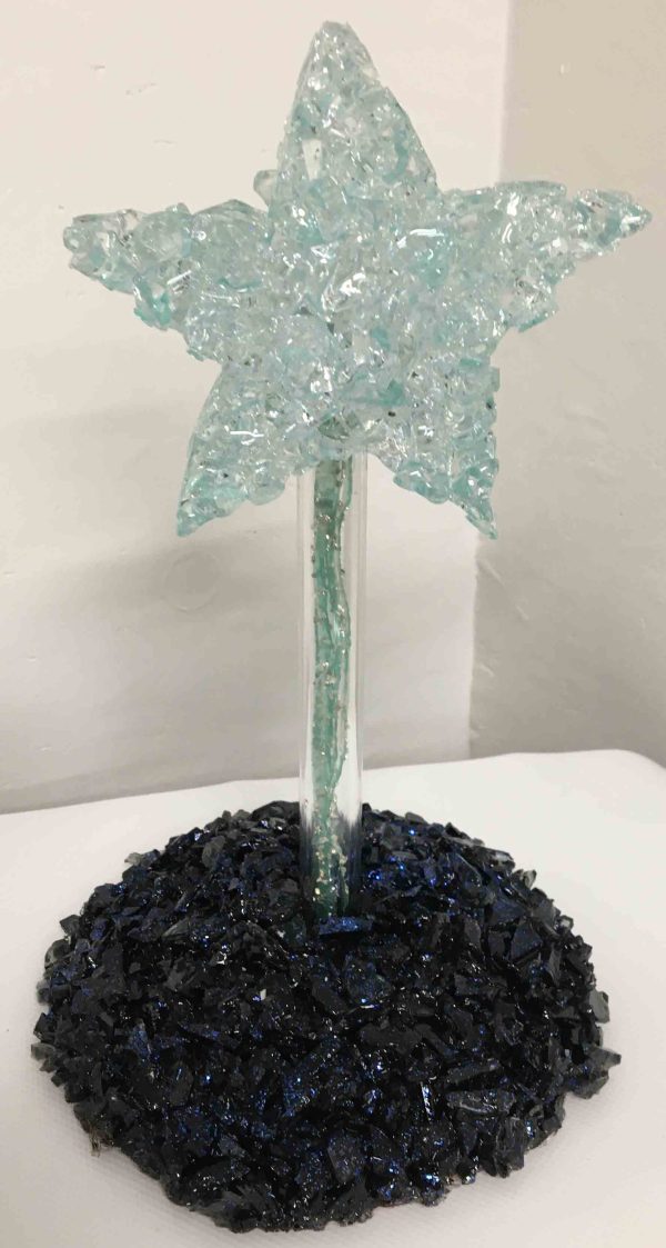 Resined Star on a Black Base