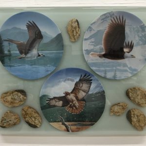 Wings of the Wild