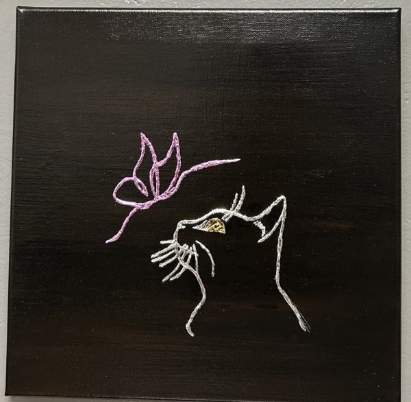Whiskers and Butterfly