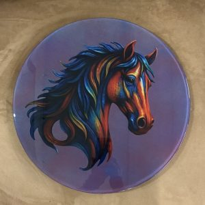 Aurora Bridle